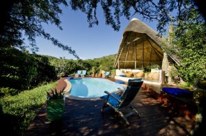 Sibuya Big 5 Safari mit Übernachtung