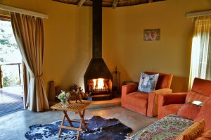 Sibuya Big 5 Safari mit Übernachtung