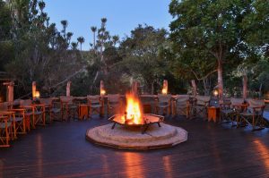 Sibuya Big 5 Safari mit Übernachtung