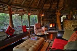 Sibuya Big 5 Safari mit Übernachtung