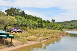 Sibuya Big 5 Safari mit Übernachtung