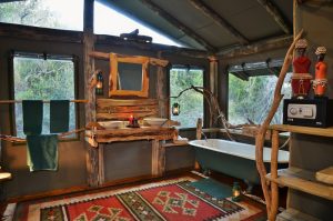 Sibuya Big 5 Safari mit Übernachtung