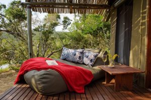 Sibuya Big 5 Safari mit Übernachtung