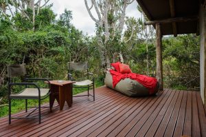 Sibuya Big 5 Safari mit Übernachtung