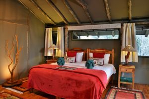 Sibuya Big 5 Safari mit Übernachtung