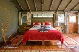 Sibuya Big 5 Safari mit Übernachtung