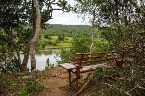 Sibuya Big 5 Safari mit Übernachtung