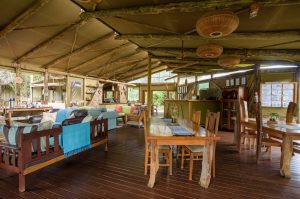 Sibuya Big 5 Safari mit Übernachtung