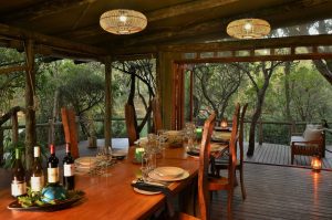 Sibuya Big 5 Safari mit Übernachtung