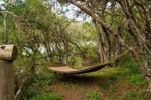 Sibuya Big 5 Safari mit Übernachtung