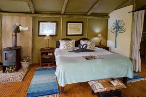 Sibuya Big 5 Safari mit Übernachtung