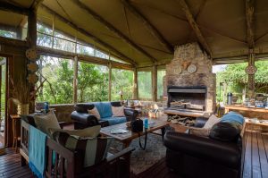 Sibuya Big 5 Safari mit Übernachtung