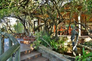 Sibuya Big 5 Safari mit Übernachtung