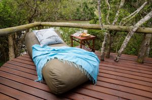 Sibuya Big 5 Safari mit Übernachtung