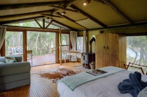 Sibuya Big 5 Safari mit Übernachtung