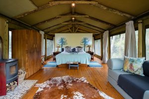 Sibuya Big 5 Safari mit Übernachtung