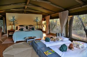 Sibuya Big 5 Safari mit Übernachtung