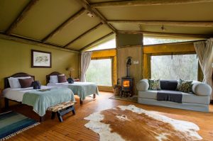 Sibuya Big 5 Safari mit Übernachtung