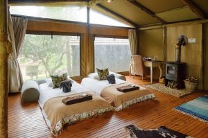 Sibuya Big 5 Safari mit Übernachtung