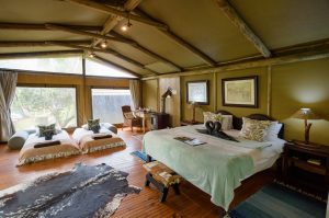 Sibuya Big 5 Safari mit Übernachtung