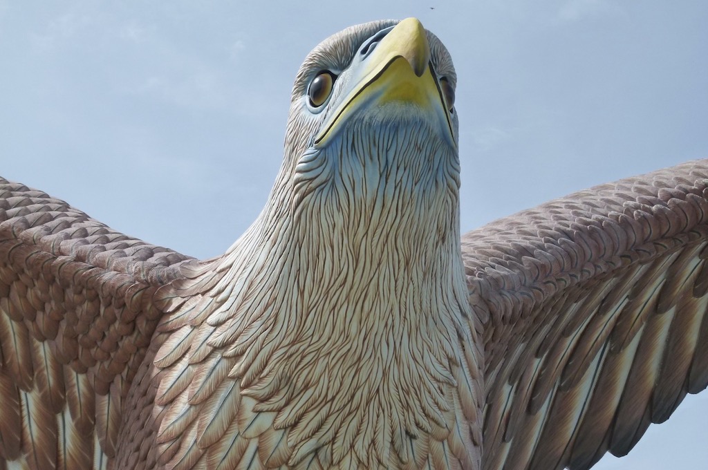 Der rotbraune Adler Langkawi‘s Fruchtfarm von Mardiana
