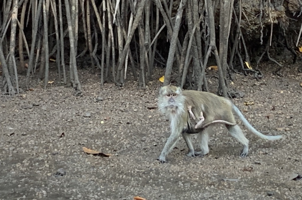 Langkawi 2