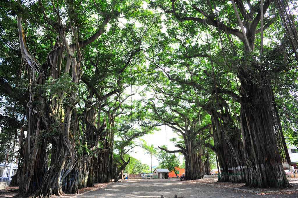 La-Place-Bien-Aime Besichtigung Stadt Toamasina