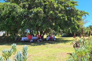 Privates Big 5 Game Reserve Amakhala