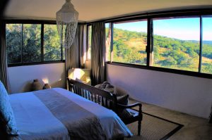 Safari im Amakhala & Schotia