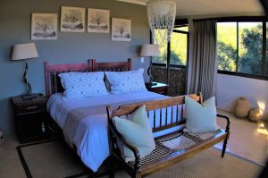Safari im Amakhala & Schotia