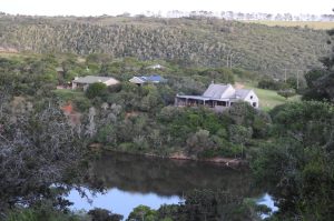 Safari im Amakhala & Schotia
