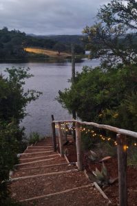 Safari im Amakhala & Schotia