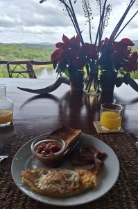 Safari im Amakhala & Schotia