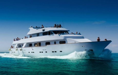 Ocean-Yacht Abendfahrt mit Feuerwerk