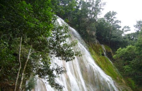 P1020731 Blick durch Bäume auf den herabstürzenden Wasserfall El Limón
