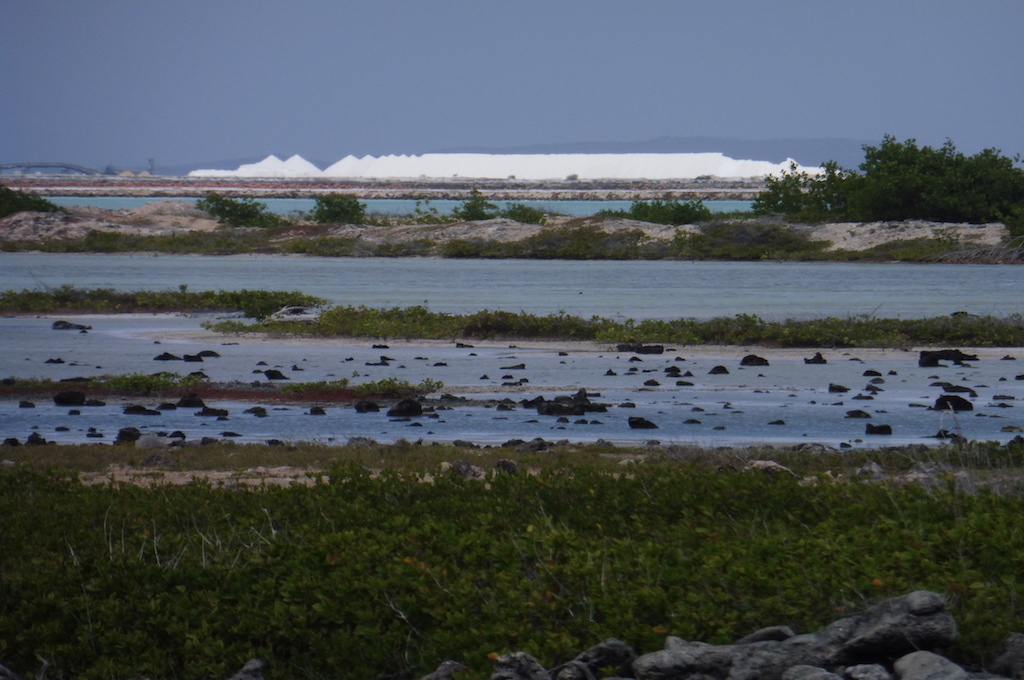 kl. Inseltour Bonaire