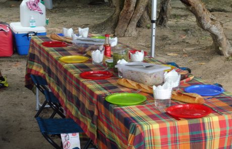 Mittagessen Gedeckter Picknicktisch mit Madras-Tischdecke im Schatten
