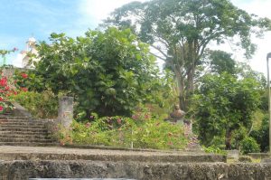 Ansicht von unten Guadeloupe