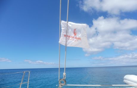 Bakadi Dreams auf St. Kitts Wimpel von Bakadi Dreams Cruise Service am Segelboot