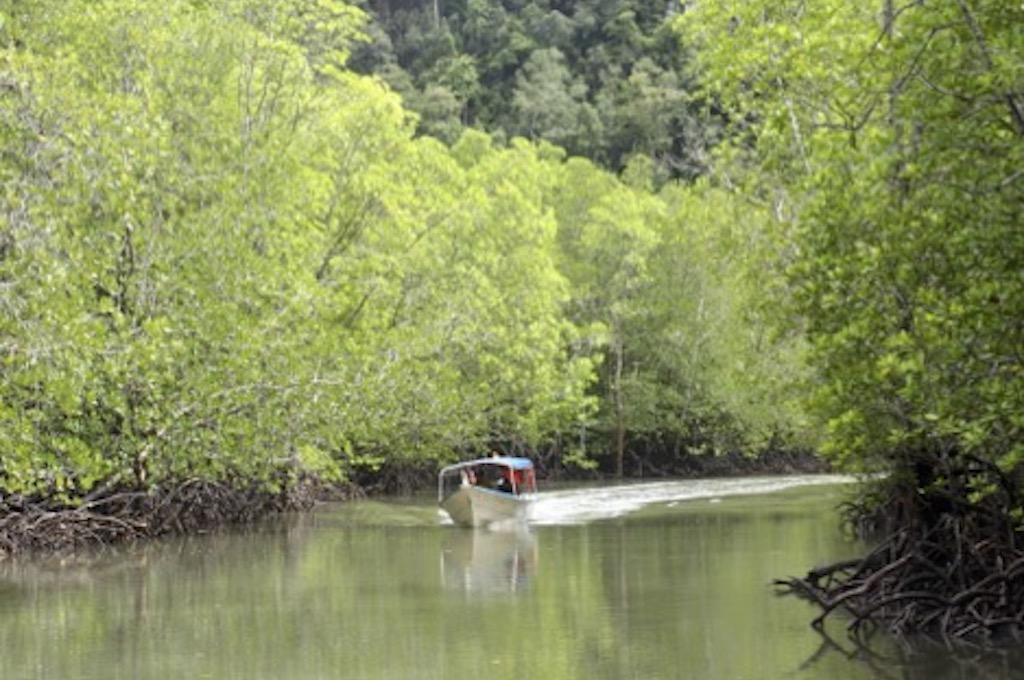 Langkawi‘s Fruchtfarm von Mardiana