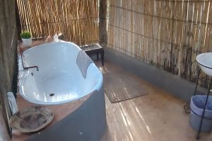 Schotia Big 5 Safari mit Übernachtung