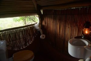 Schotia Big 5 Safari mit Übernachtung