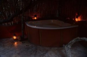 Schotia Big 5 Safari mit Übernachtung