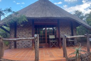 Schotia Big 5 Safari mit Übernachtung