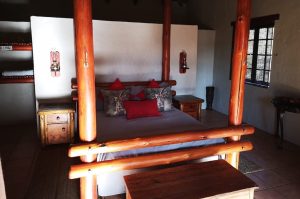 Schotia Big 5 Safari mit Übernachtung