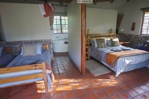 Schotia Big 5 Safari mit Übernachtung