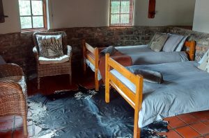 Schotia Big 5 Safari mit Übernachtung