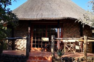 Schotia Big 5 Safari mit Übernachtung