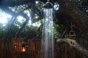 Schotia Big 5 Safari mit Übernachtung