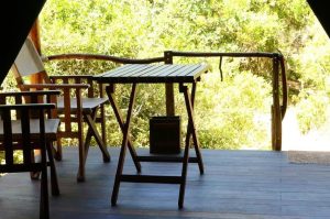 Schotia Big 5 Safari mit Übernachtung